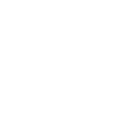 Icon Stop
