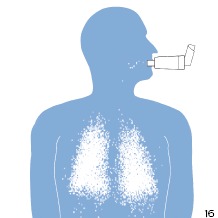 Inhaler with chamber