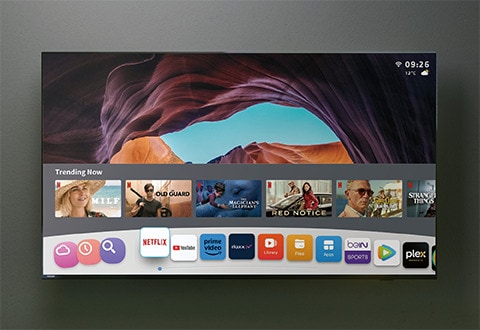 Google TV