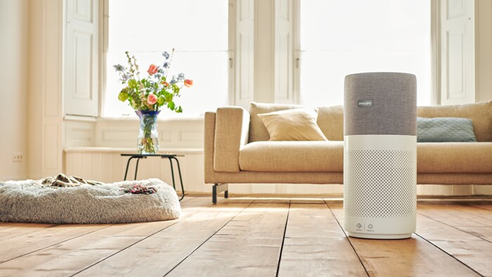 Air solutions and air purifiers for commercial use Philips